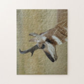 A4 Gaffelantilope Kopschot Profiel Legpuzzel (Verticaal)