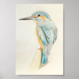 A4 Prachtige Kingfisher Pencil Tekening Afdruk Poster