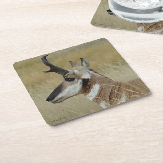 A4 Pronghorn Antelope Buck Head profiel Kartonnen Onderzetters (Schuin)