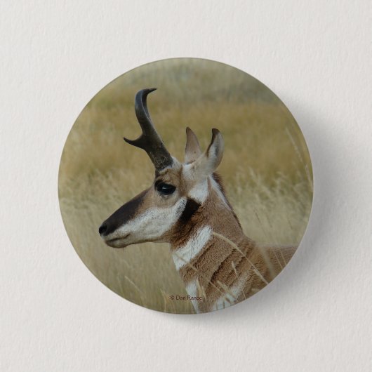 A4 Pronghorn Antelope Ronde Button 5,7 Cm (Voorkant)
