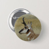 A4 Pronghorn Antelope Ronde Button 5,7 Cm (Voorkant /achterkant)