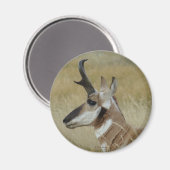 A4 Pronghorn Antelope Young Buck Head Shot Profile Magneet (Voorkant / Achterkant)
