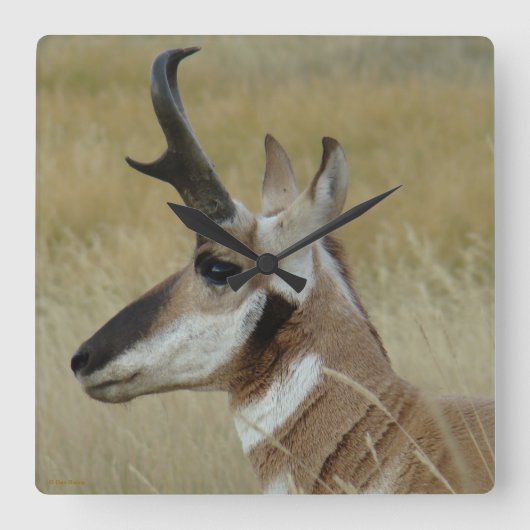 A4 Pronghorn Shot Profile Antelope Vierkante Klok (Voorkant)