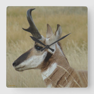 A4 Pronghorn Shot Profile Antelope Vierkante Klok