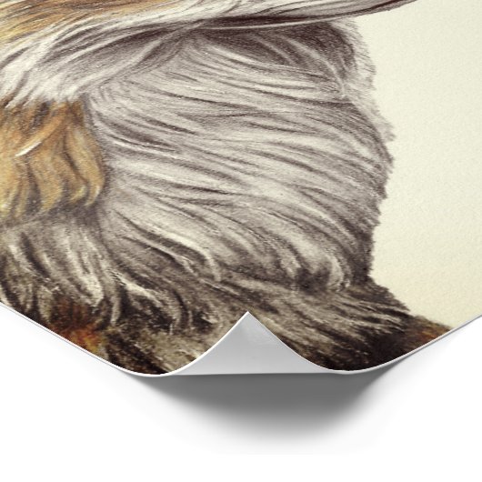 A4 Rood-voorpootpotlood Tekening Afdrukken  uiterl Poster (Hoek)