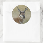 A5 Gaffelantilope bok kopschot Ronde Sticker (Tas)