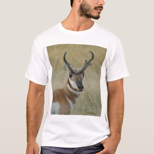 A5 Gaffelantilope bok kopschot T-shirt (Voorkant)