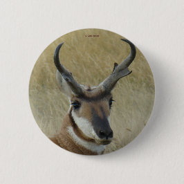 A5 Gaffelantilope Ronde Button 5,7 Cm