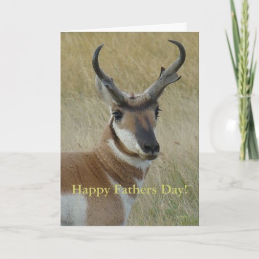 A5 het HoofdSchot van de Antilope van Pronghorn Kaart (Voorkant)