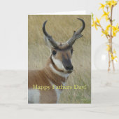 A5 het HoofdSchot van de Antilope van Pronghorn Kaart (Gele Bloem)