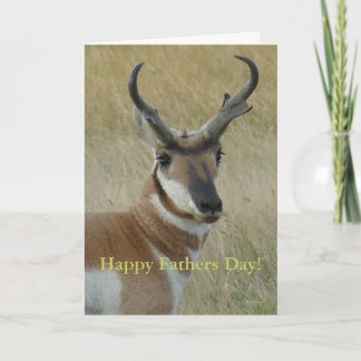 A5 het HoofdSchot van de Antilope van Pronghorn Kaart