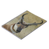 A5 Pronghorn Antelope Big Buck Head Shot Notitieboek (Linkerzijde)
