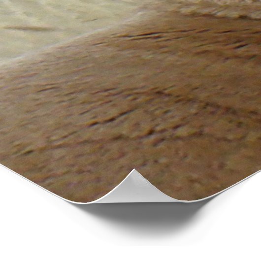 A5 Pronghorn Antelope Big Buck Head Shot Poster (Hoek)