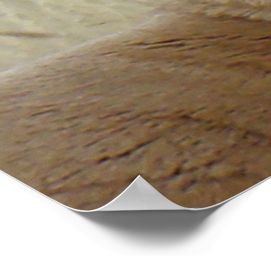 A5 Pronghorn Antelope Big Buck Head Shot Poster (Hoek)