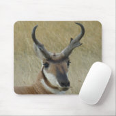 A5 Pronghorn Antelope Muismat (Met muis)