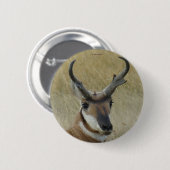 A5 Pronghorn Antelope Ronde Button 5,7 Cm (Voorkant /achterkant)
