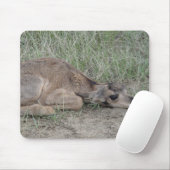 A6 Baby Gaffelbok Antilope Muismat (Met muis)