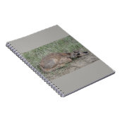 A6 Baby Gaffelbok Antilope Notitieboek (Rechterzijde)