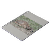 A6 Baby Gaffelbok Antilope Notitieboek (Linkerzijde)
