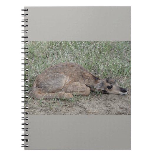 A6 Baby Gaffelbok Antilope Notitieboek (Voorkant)