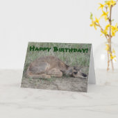 A6 de Antilope van Pronghorn van het Baby Kaart (Gele Bloem)