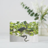 A6 Great Heron Briefkaart (Staand voorkant)