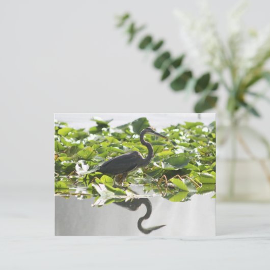 A6 Great Heron Briefkaart (Staand voorkant)