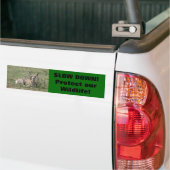 A7 Baby Gaffelantilope Bumpersticker (Op Truck)