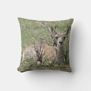 A7 Baby Gaffelantilope Kussen