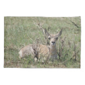 A7 Baby Gaffelantilope Kussensloop (Achterkant)