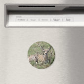 A7 Baby Gaffelantilope Magneet (Insitu (Vaatwasser))
