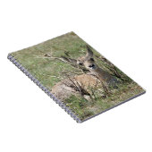 A7 Baby Gaffelantilope Notitieboek (Rechterzijde)
