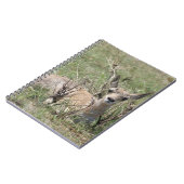 A7 Baby Gaffelantilope Notitieboek (Linkerzijde)