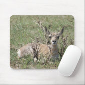 A7 Baby Gaffelbok Antilope Muismat (Met muis)