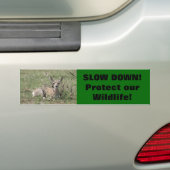 A7 Baby Pronghorn Antelope Bumpersticker (Op auto)