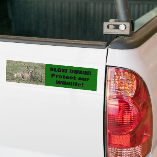 A7 Baby Pronghorn Antelope Bumpersticker (Op Truck)