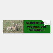 A7 Baby Pronghorn Antelope Bumpersticker (Voorkant)