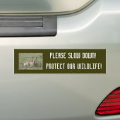 A7 Baby Pronghorn Antelope Bumpersticker (Op auto)