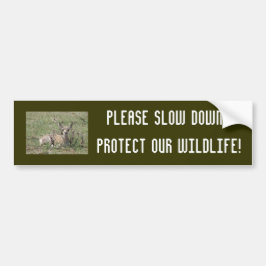 A7 Baby Pronghorn Antelope Bumpersticker