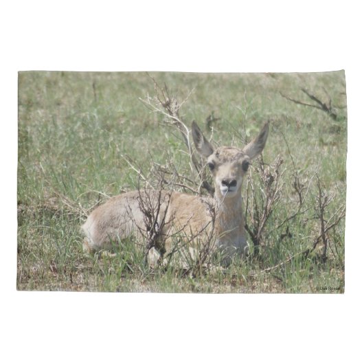 A7 Baby Pronghorn Antelope Kussensloop (Achterkant)