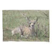 A7 Baby Pronghorn Antelope Kussensloop (Voorkant)