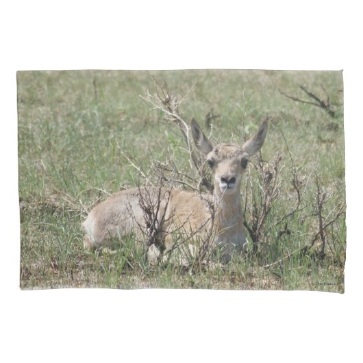 A7 Baby Pronghorn Antelope Kussensloop (Voorkant)