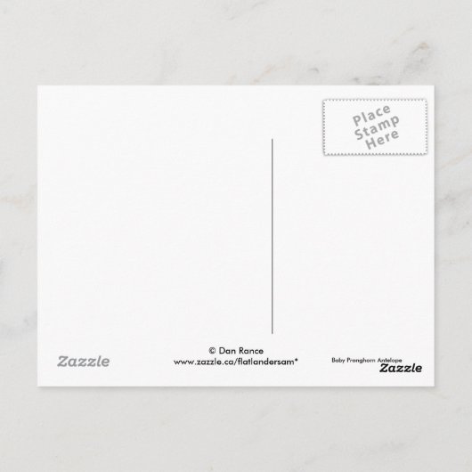 A7 Baby Pronghorn Antelope omhoog Briefkaart (Achterkant)