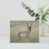 A8 Gaffelantilope Grote Bok Briefkaart (Staand voorkant)