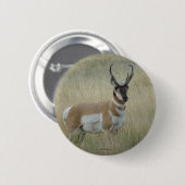 A8 Gaffelantilope Ronde Button 5,7 Cm (Voorkant /achterkant)