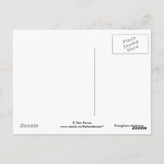 A8 Pronghorn Antelope Big Buck Briefkaart (Achterkant)