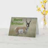 A8 Pronghorn Antelope Big Buck Kaart (Gele Bloem)