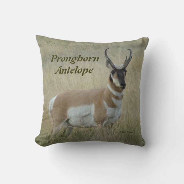 A8 Pronghorn Antelope Big Buck Kussen (Voorkant)