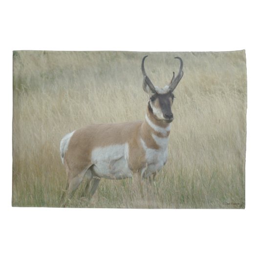 A8 Pronghorn Antelope Big Buck Kussensloop (Achterkant)