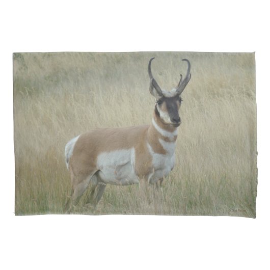A8 Pronghorn Antelope Big Buck Kussensloop (Voorkant)